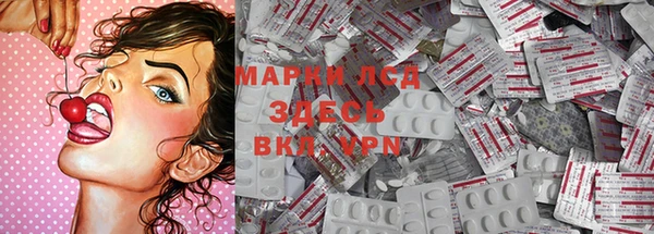 MESCALINE Елизово