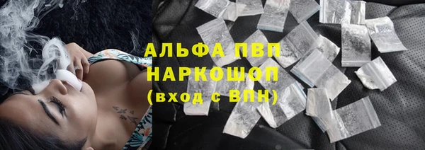 прущий лед Ельня