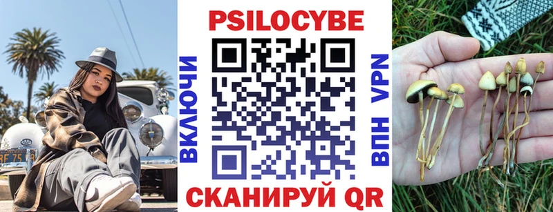 Псилоцибиновые грибы ЛСД  Купить где  Тара 